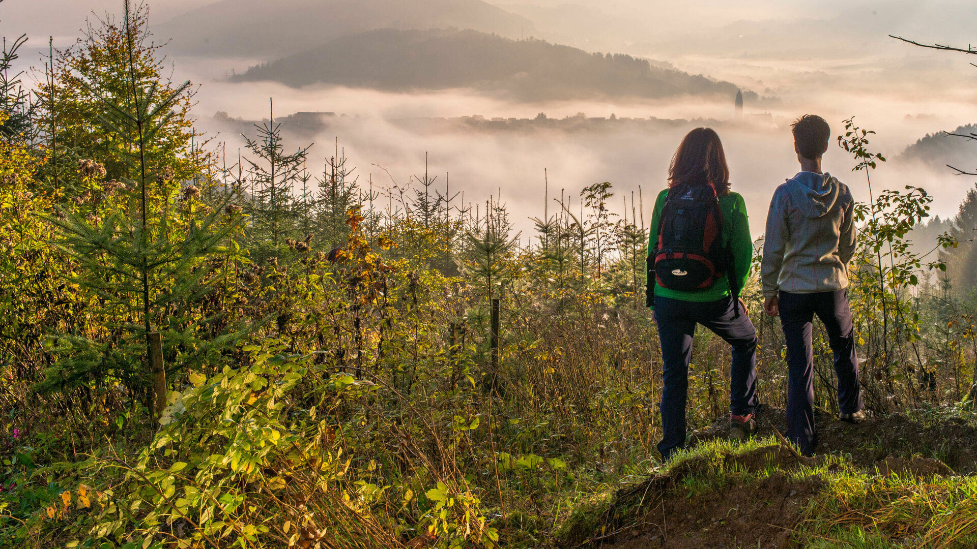 Herbstwandern oberhalb von Schmallenberg