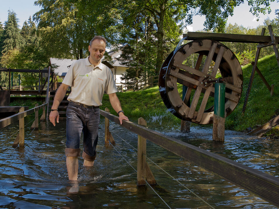 Wassertreten im kühlen Tretbecken