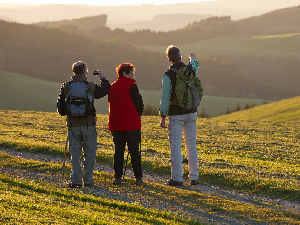 Wanderer schauen in die sonnige Natur